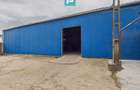 Hală versatila de 240 mp cu cameră frig în Săcălaz - 1