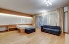 Inchiriere studio (1 camera) | Premium, Generos, Parcare | Domenii Park - 3