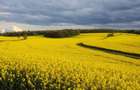 PORTOFOLIU AGRICOL PREMIUM 3.000 HA SUDUL ROMÂNIEI OPORTUNITATE INVESTIȚIONALĂ - 9
