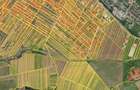 Teren intravilan, 7000 mp, zona Preajba noua-Damila - 3