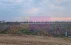 Săbăreni, teren curti-constructii 610 mp cu utilităti - 2