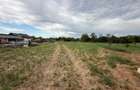 CASA CU ETAJ | TEREN 1439 MP | ZONA INAND | BIHOR - 14