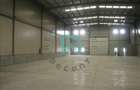 VAnzare hala industriala , 828 mp, Prejmer, Parc industrial Graells, Brasov - 4