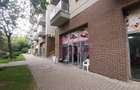 Spatiu Comercial Stradal Șoseaua Colentina zona Teiul Doamnei Suveica - 18