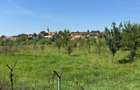 Vand casa singur in curte - P+M - teren 3000 mp - Marpod - 2