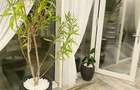 Penthouse Obcini | 240mp totali | Terase  | Parcare | 3c-4342 - 12