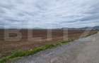 Teren agricol - 18000 mp - Harman - Dn 11 - pretabil agricol si industrial - 4