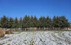 Casă de vacanță cu 6 camere + teren suprafață 7.384 mp, Brădet, Bihor - 2