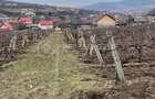 Teren intravilan 2.617mp, Chicerea, comuna Tomești - 2