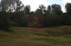Teren intravilan de vanzare in Telega - 11