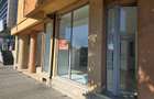 Delfinariu, Bd. Mamaia-str.Ioan Murgescu,spațiu comercial 185 mp de închiriat - 6