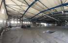Berceni, hale dimensiuni 1800mp, 2750mp si 2900, acces facil - 5