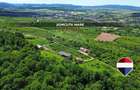 Teren 5,700mp Somcuta Mare / investitie cu potential major - 2