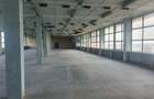 Pantelimon - Cora - Platforma Faur - 1