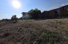 Green City I Proiect case insiruite I 3000 mp lotizat - 10