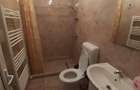 Vila moderna + casa renovata cu 2 apartamente si teren generos  -  Palazu Mare , - 17