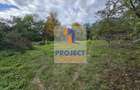 Casă Centrală Curtea de Argeș, Teren 2.211 mp - 13