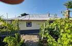 85.000 Euro- casa +magazin+garaj in com Smardan, sat Cismele, - 9