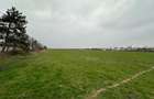 Teren intravilan Mogosesti | Giurgiu | 370.000mp | Adunatii Copaceni - 7