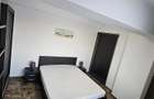 Apartament 2 camere Delta Vacaresti - 5