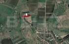 Teren 10.000mp, Sanpetru - 2