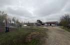 Teren intravilan agricol, sere, anexa agricola, 11500 mp teren, Sopot - 1