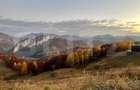 Teren 5200 mp cu view spectaculos Ponor | ideal turistic | lângă Belvedere - 3