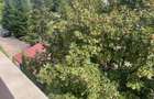 Apartament 3 camere Petrom City/Straulesti - 17