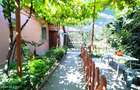 Palazu Mare - Strada Gheorghe Baritiu 16, casa cu teren de 680 mp! - 21