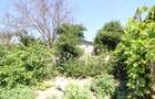 Vand teren 999mp +constructie de renovat loc. Serbestii Vechi - 6