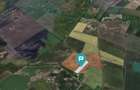 Teren extravilan de 28900 mp în Variașul Mare - 4
