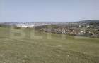 Teren intravilan, 15.904 mp, zona Dambu - 4