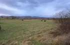 Caransebes, Teren Drept 5087 Mp. Ideal pt Casa 20 Euro Mp. Racovita - 2