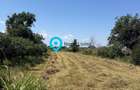 Teren intravilan 4.000 mp Comana (Budeni) | 10 €/mp negociabil | Comis