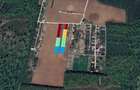 The Forest Collection -500mp-Zona exclusivista | Padurea Snagov -Ciofliceni - 6