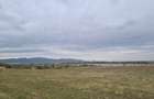Oază de Natură și Potențial: Teren de 48.100 mp lângă Delta din Carpați - 14