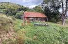 Teren de investiție în Moieciu, lângă Castelul Bran – 11.381 mp, vedere Bucegi - 2