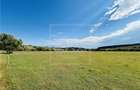 Teren intravilan, 5861 mp - Tocile - 3