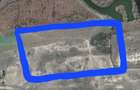 Teren intravilan in Delta Dunarii, C.A. Rosetti - Cardon - 12