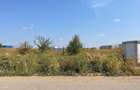 Teren proiectr logistic de vanzare A1 Km 13 Business Park - 5