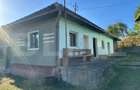 Proprietate cu 7.247 mp teren intravilan și multiple construcții – Hărțăgani