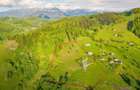 Teren, Zona de Interes Turistic-Cheile Gradistei,  8800mp - 2