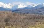 Teren intravilan 2500mp  pe Valea Avrigului,optim casa de vacanta - 1