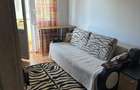 Apartament 1 camera mobilat si utilat Centrala proprie Dambovita-Lidl - 7
