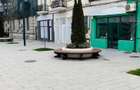 SPATIU COMERCIAL STRADAL ULTRACENTRAL - 2