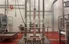 Black Angus Farm with authorized Slaughterhouse - 15