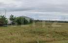 Teren 5851 mp, Centra Nord, zona valea Sarpelui - 1