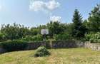 RECO Casa 5 camere zona Oncea - 26