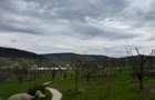 De vanzare 0,75ha cu doua case, gradina, livada etc Ideal camping, tabere, ferma - 6