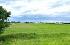 Teren intravilan | Dragomiresti Vale | Sat Zurbaua IF | INVESTITIE - 2